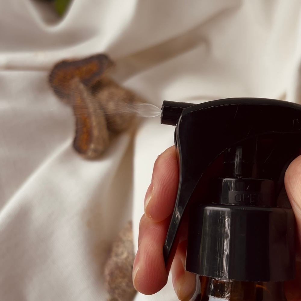 Colección Aromas Esenciales — Frescura, dulzura y elegancia en un solo set