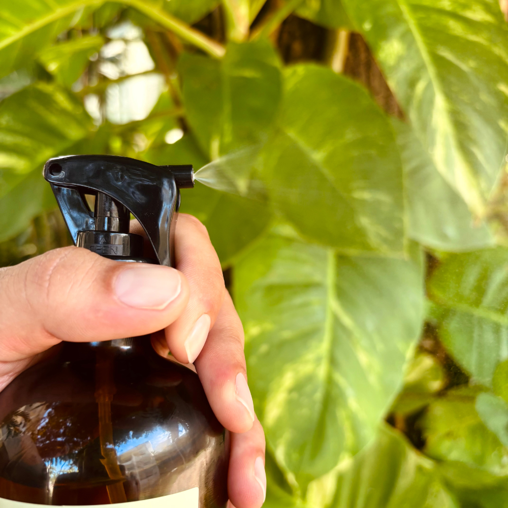 Ritual Sensorial – Colección de Aromas Premium (Pack de 3)